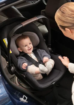 Babyschale 'ARRA flex' Chateau