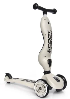 2in1 Kickboard 'Highway Kick 1' ash