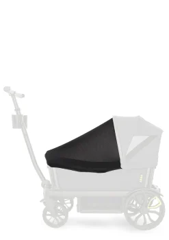 Insektenschutz schwarz