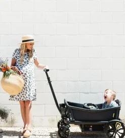 Insektenschutz schwarz