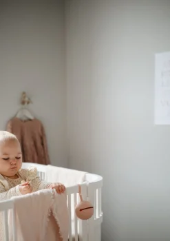 Silikon Schnuller Aufbewahrungsbox Cloudy Mauve