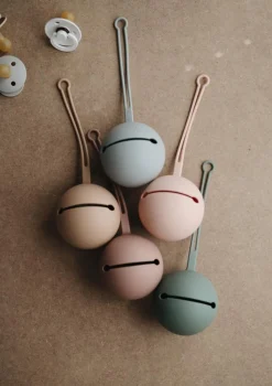 Silikon Schnuller Aufbewahrungsbox Dried Thyme