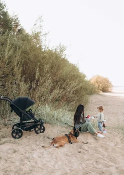 Sportwagen 'Mono 3' Premium Grau